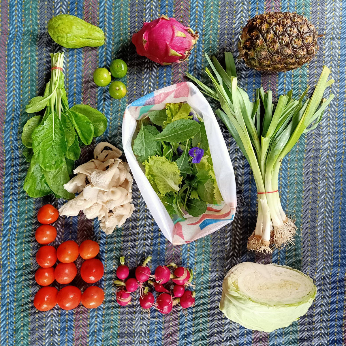 Vegetable Box Subscription (2 weeks) – Kokkoya Organics